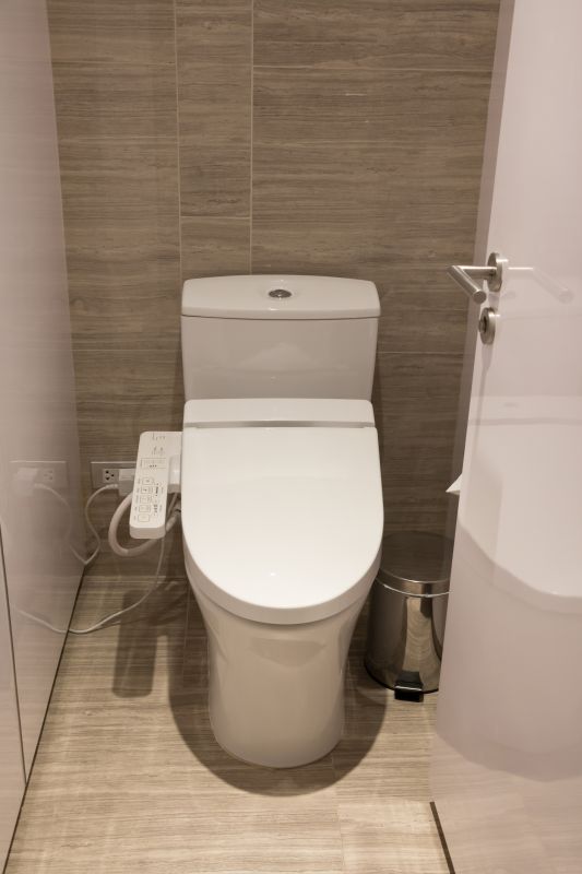 Contemporary Toilet and Bidet